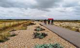 Walk along Rye Harbour Nature Reserve. - Thumbnail Image