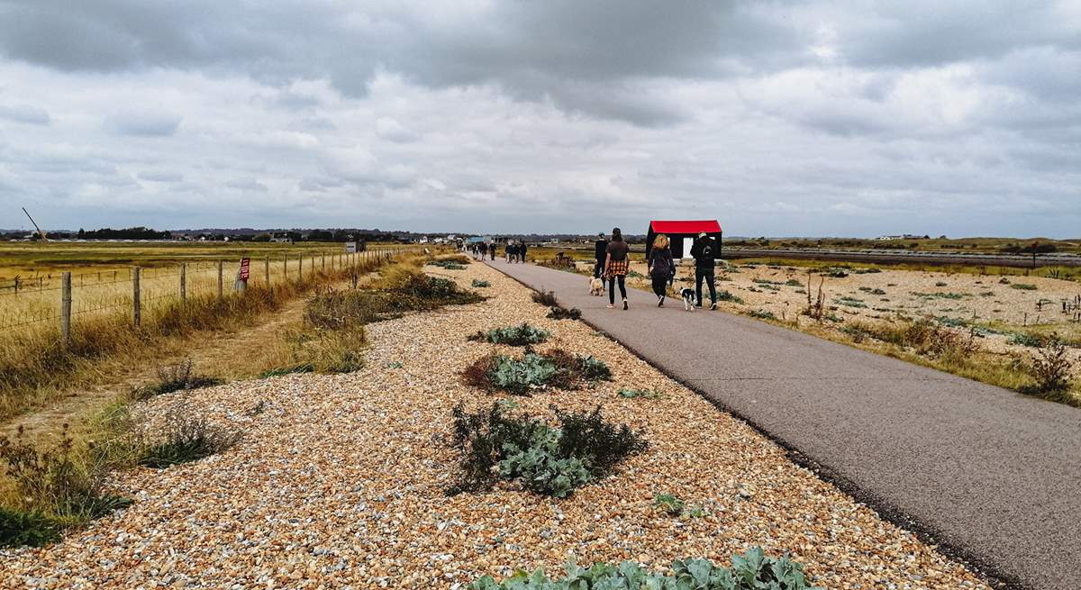 Walk along Rye Harbour Nature Reserve.