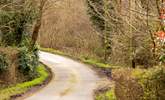 The country lane leading to Darjeeling Lodge. - Thumbnail Image