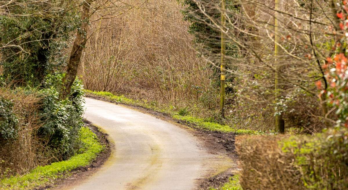 The country lane leading to Darjeeling Lodge.