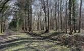 Pack your hiking boots and enjoy a ramble around Beckley Woods. - Thumbnail Image