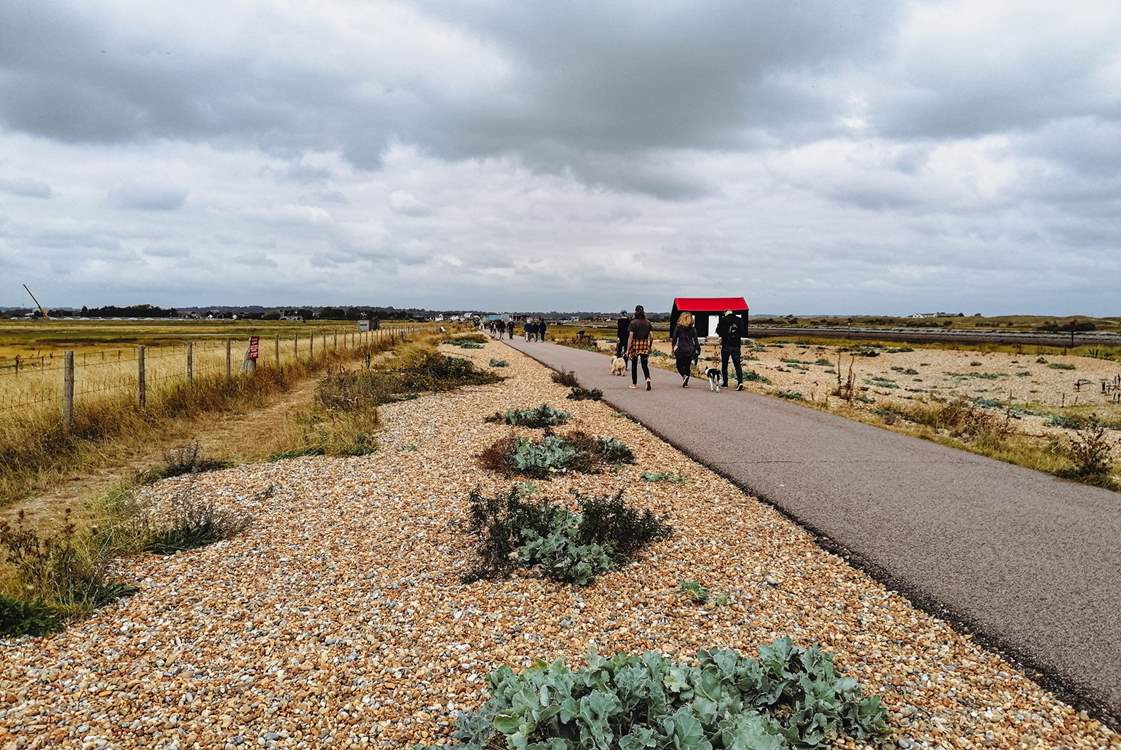 Take a walk along Rye Harbour Nature Reserve.