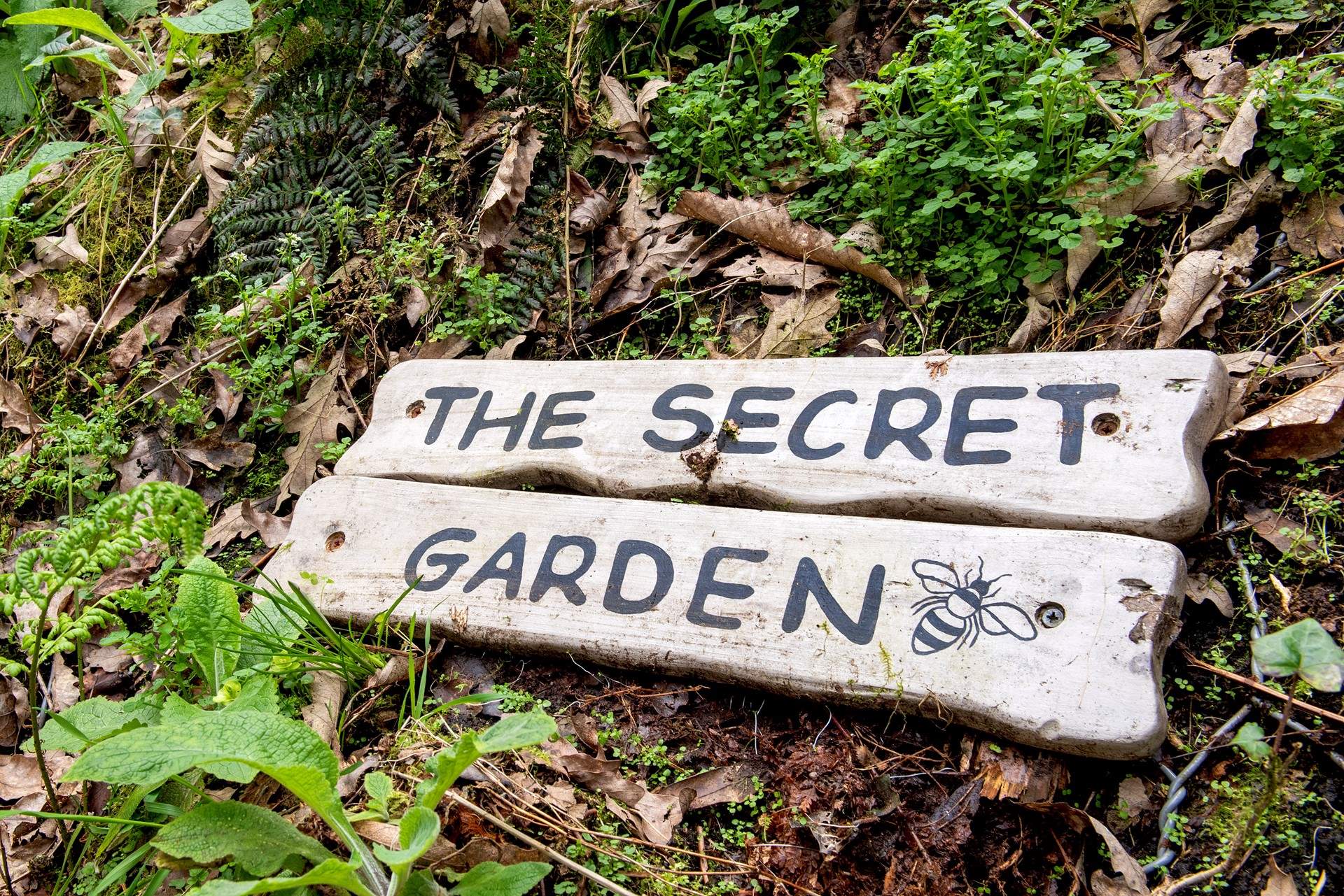 The sheltered terraced areas at the back are shared with two other apartments.