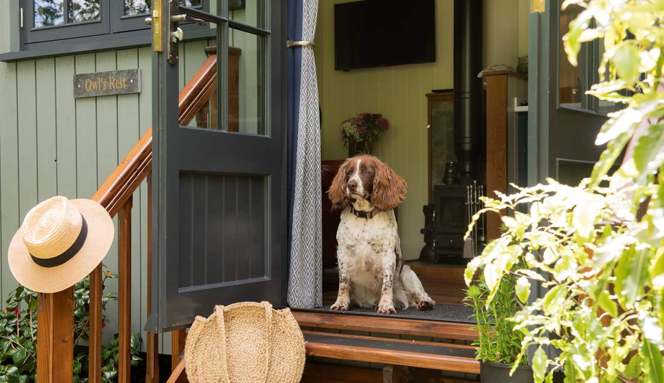 Owl's Rest is the perfect dog friendly getaway. 