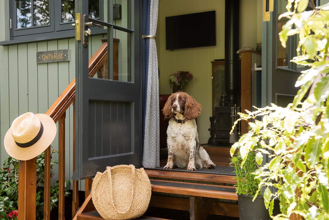 Owl's Rest is the perfect dog friendly getaway.