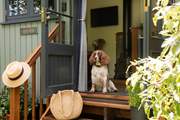 Owl's Rest is the perfect dog friendly getaway.