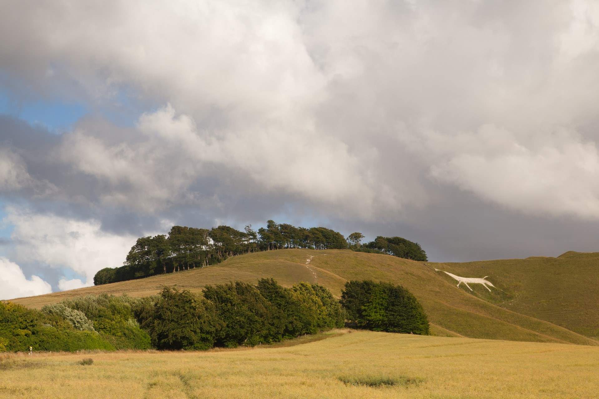 Cherhill White Horse can be seen for miles around.