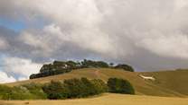 Cherhill White Horse can be seen for miles around.