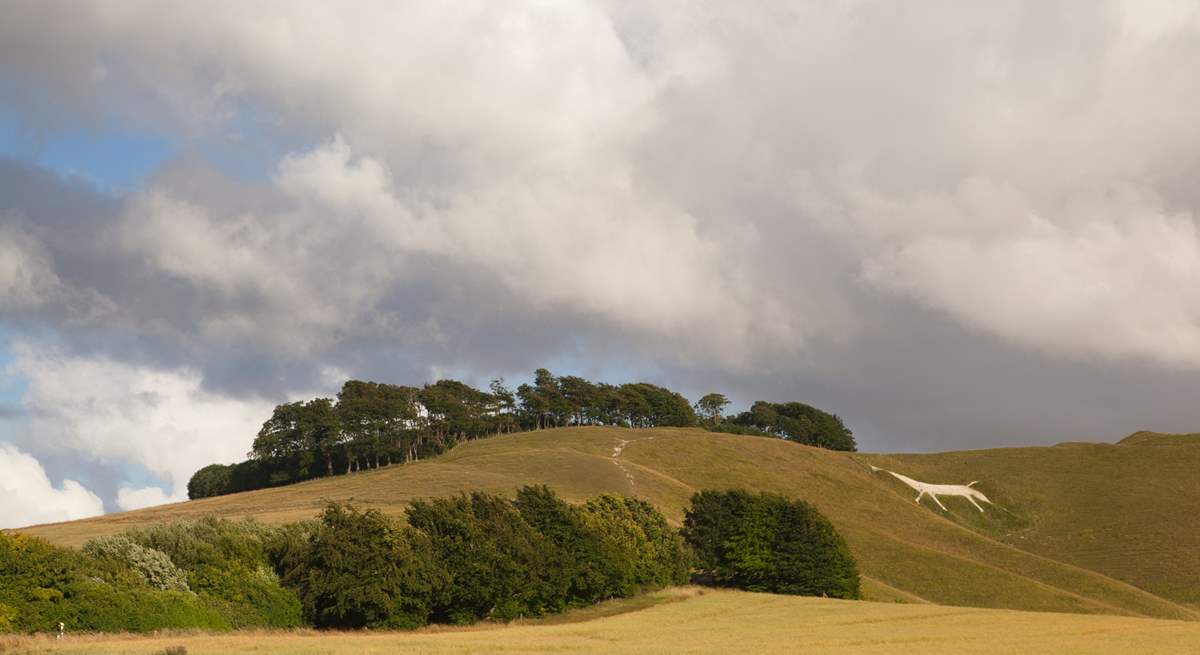 Cherhill White Horse can be seen for miles around.
