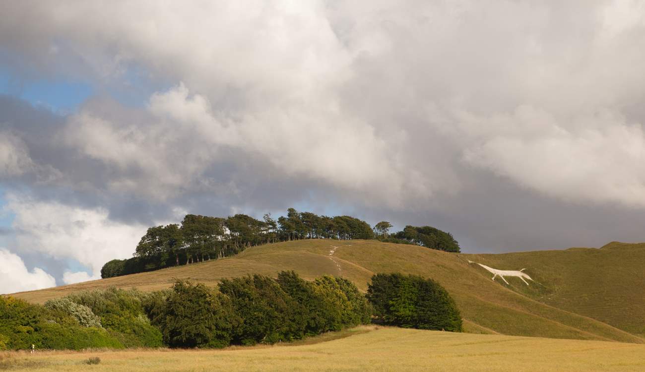 Cherhill White Horse can be seen for miles around.