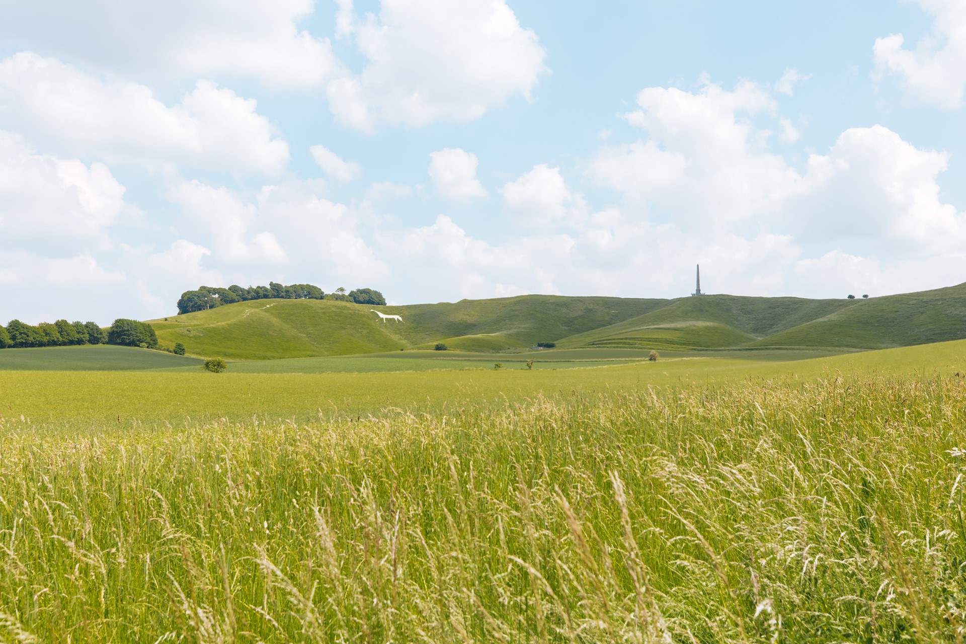 The Lansdowne Monument and the Cherhill White Horse are within walking distance of the cottage.