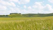 The Lansdowne Monument and the Cherhill White Horse are within walking distance of the cottage.