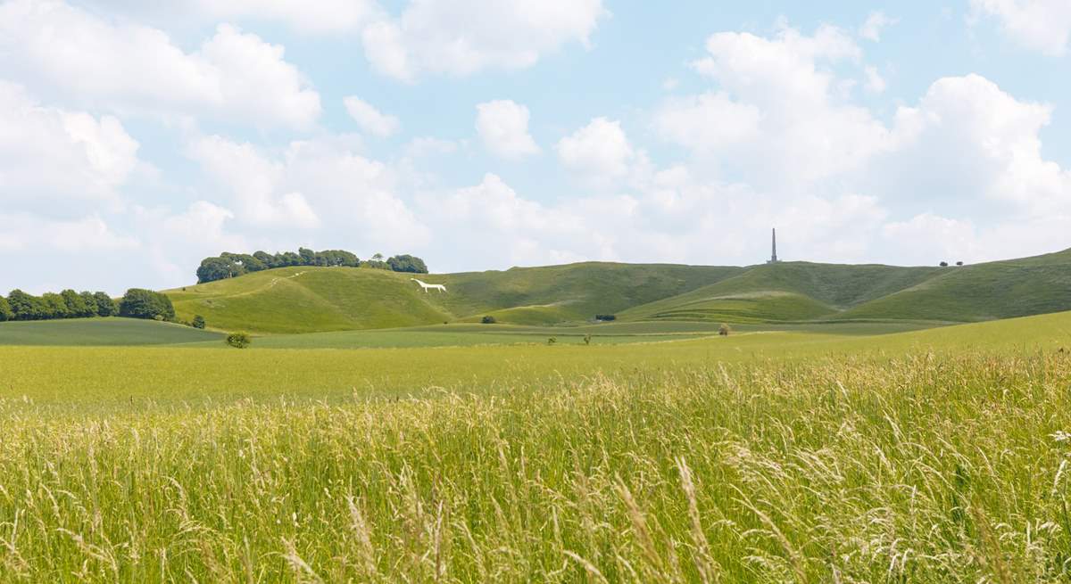 The Lansdowne Monument and the Cherhill White Horse are within walking distance of the cottage.