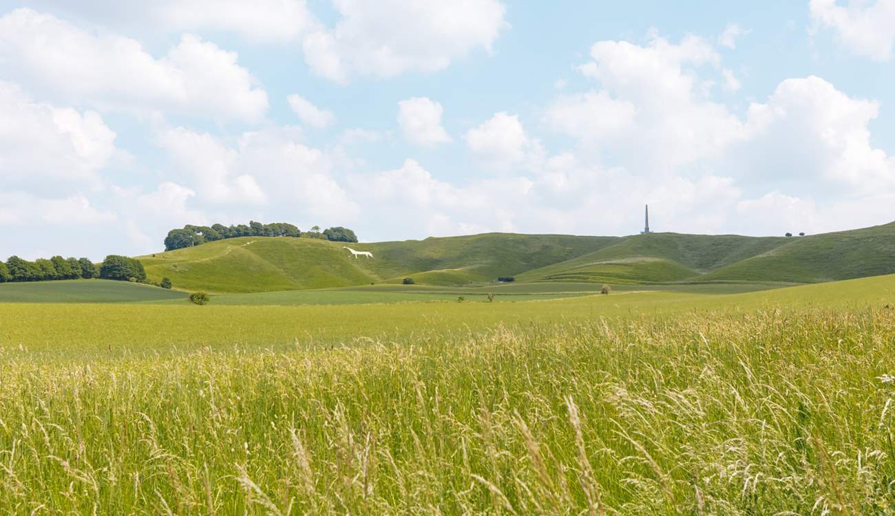 The Lansdowne Monument and the Cherhill White Horse are within walking distance of the cottage.