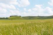 The Lansdowne Monument and the Cherhill White Horse are within walking distance of the cottage.