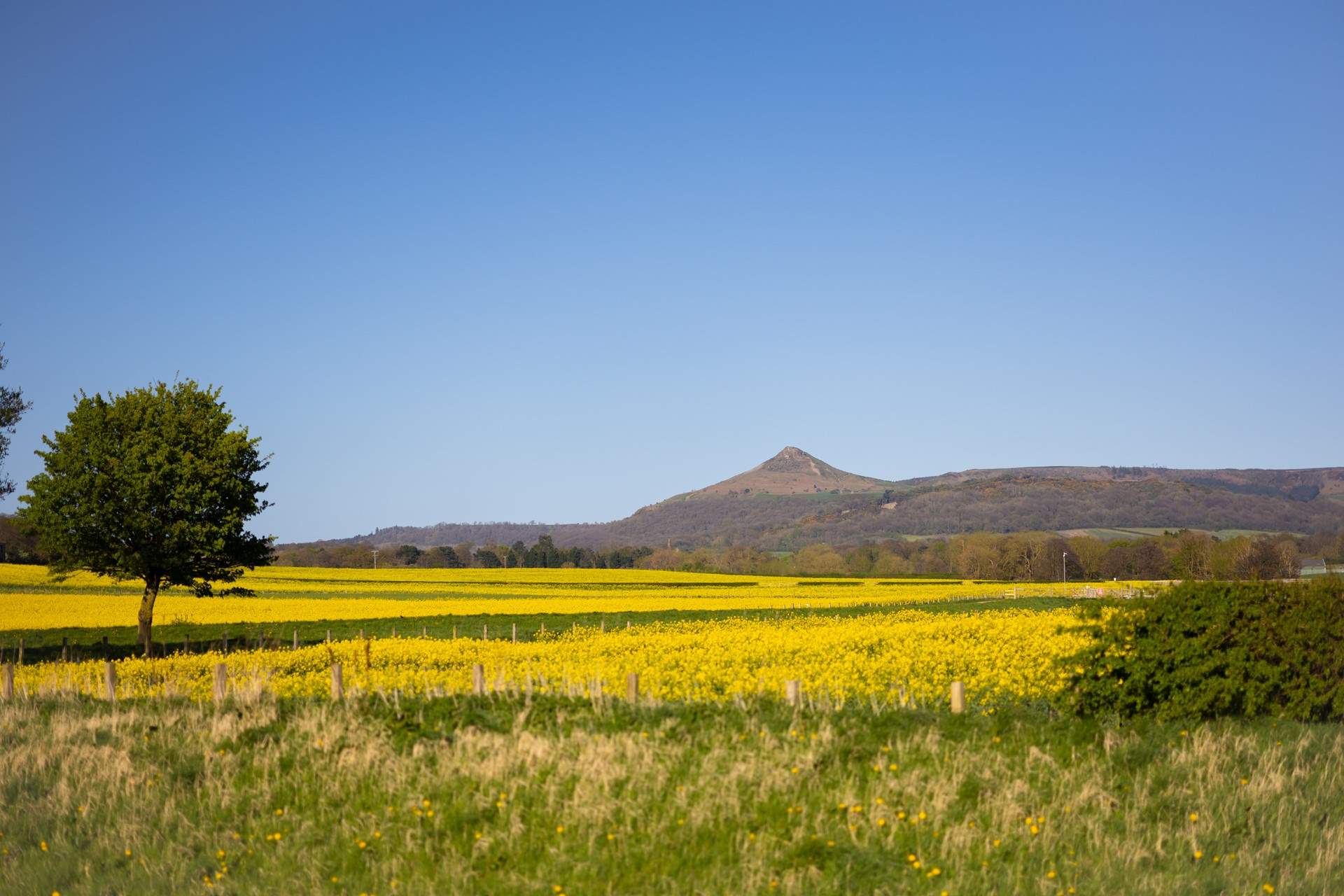 Take a walk up Roseberry Topping.