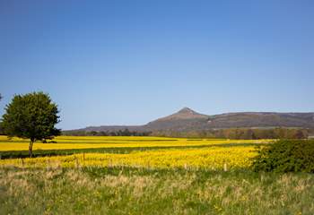 Take a walk up Roseberry Topping.
