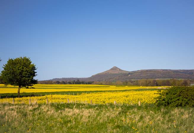 Take a walk up Roseberry Topping.