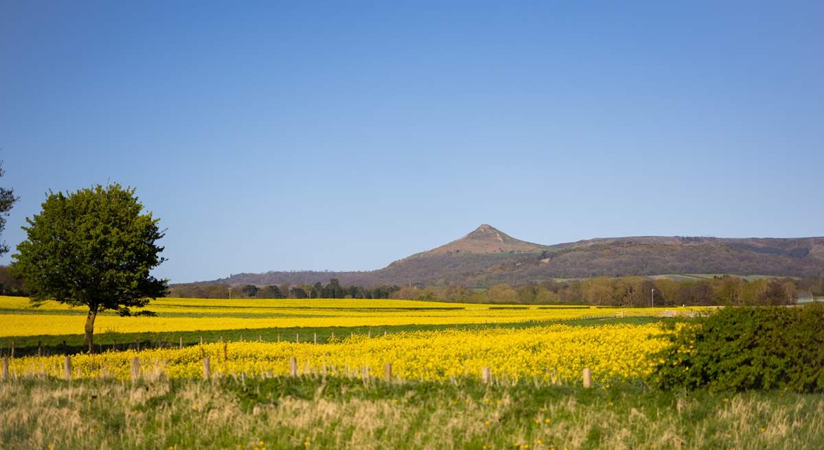 Take a walk up Roseberry Topping.