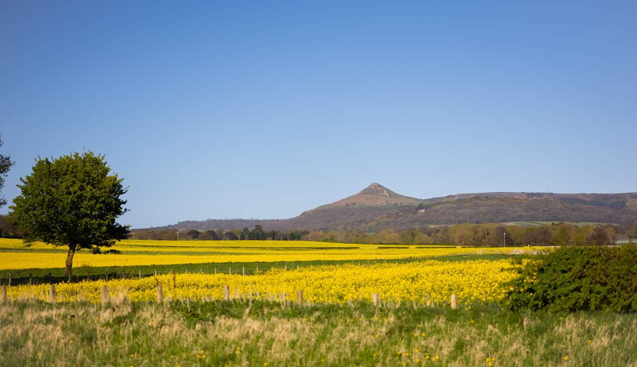 Take a walk up Roseberry Topping.
