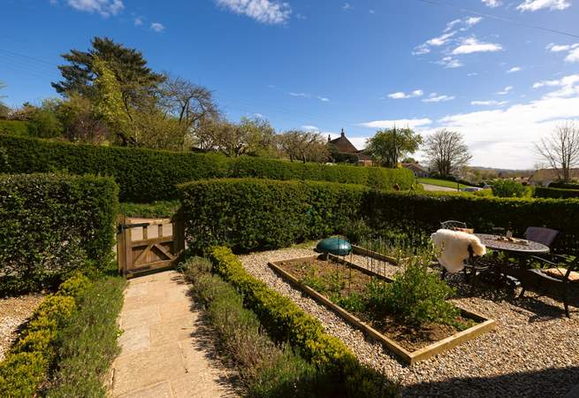 The garden is full of strawberries and herbs for you to enjoy.
