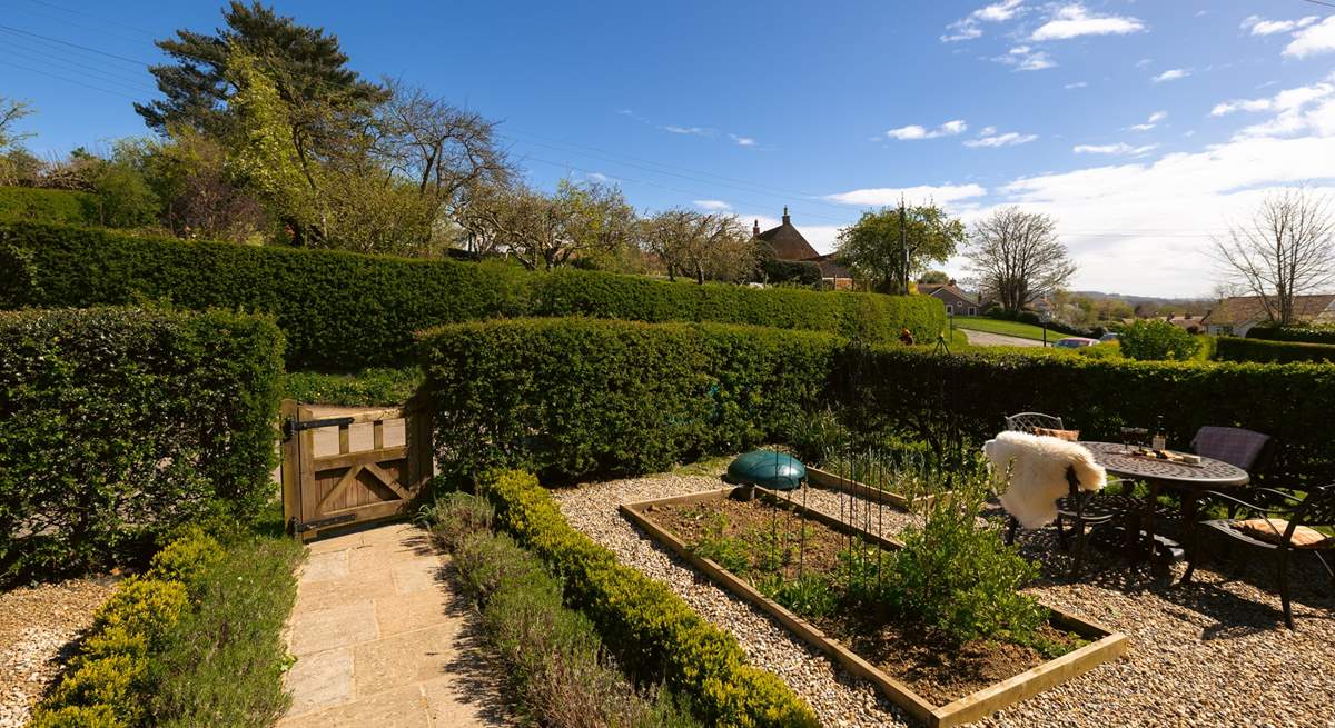 The garden is full of strawberries and herbs for you to enjoy.