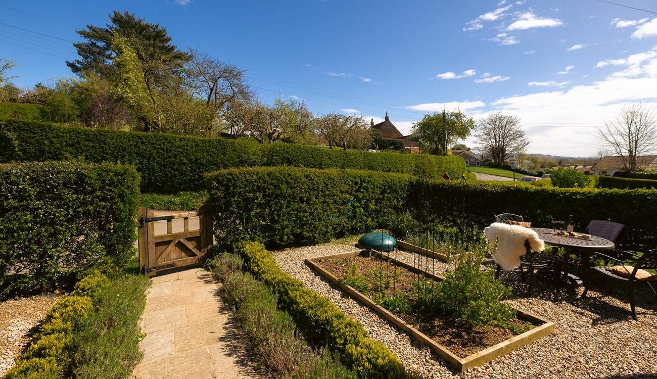 The garden is full of strawberries and herbs for you to enjoy.