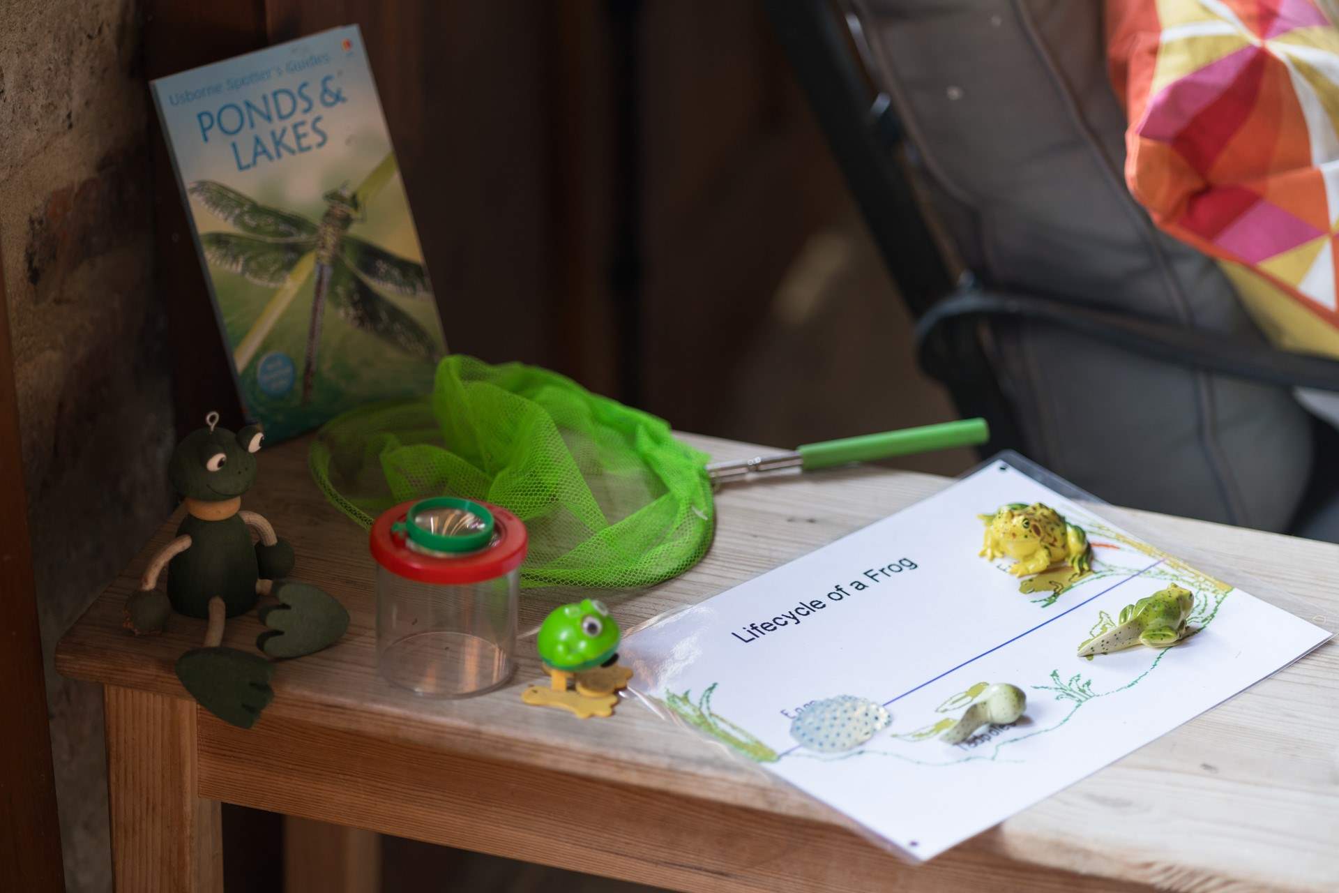 Plenty of opportunity to study nature with lots of prepared learning packs. 