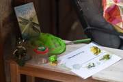 Plenty of opportunity to study nature with lots of prepared learning packs.