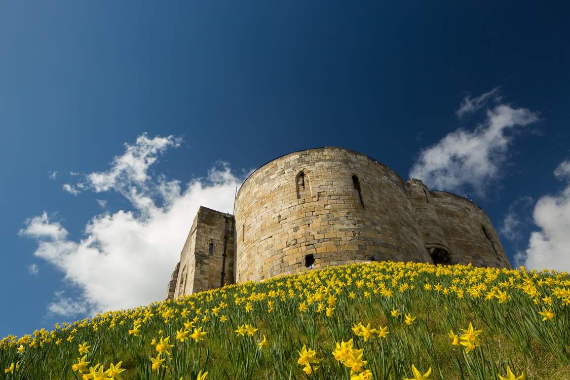 Clifford's Tower sits in the centre of York close to the many museums and galleries.