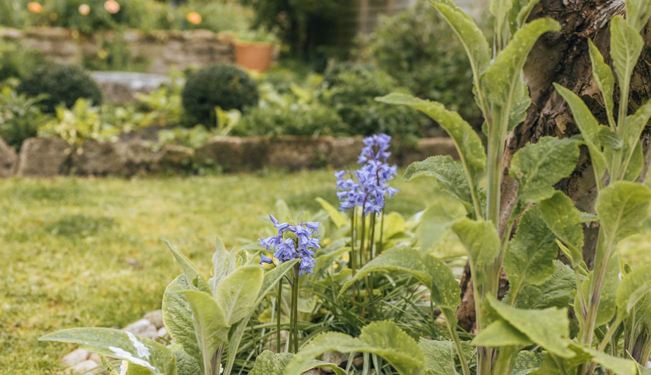 As the cottage's namesake!