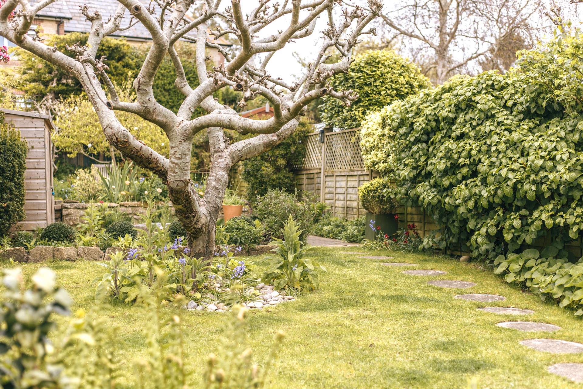 The garden was designed by a floral artist and boasts beautiful colours.
