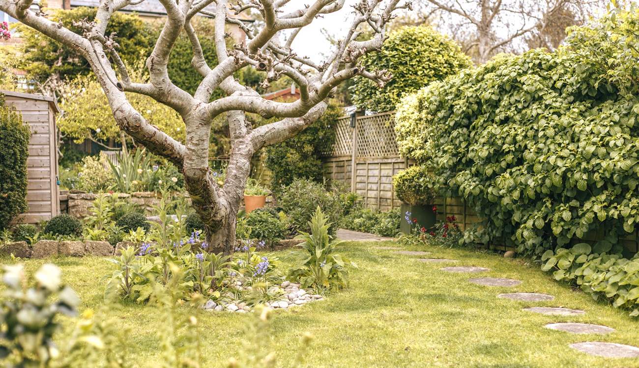 The garden was designed by a floral artist and boasts beautiful colours.