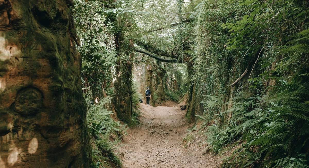 Walk through time down Hell Lane - Dorset's famous holloway.