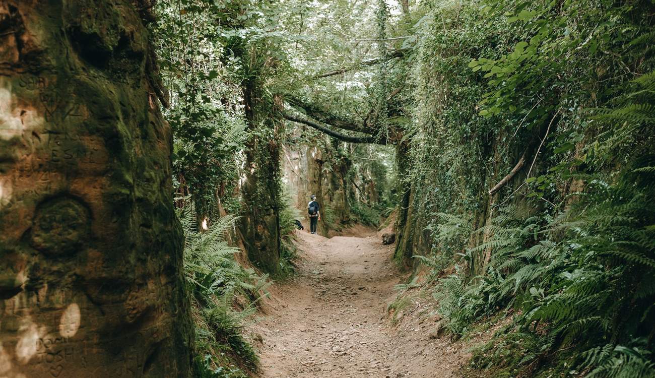 Walk through time down Hell Lane - Dorset's famous holloway.