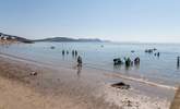 Lyme Regis beach is the perfect spot to dip sandy toes in the sea. - Thumbnail Image