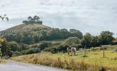 Nearby Symondsbury Estate makes a lovely day out - a cafe, farm animals and the chance to enjoy the views from the top of Colmer's Hill (if you fancy the climb!). - Thumbnail Image