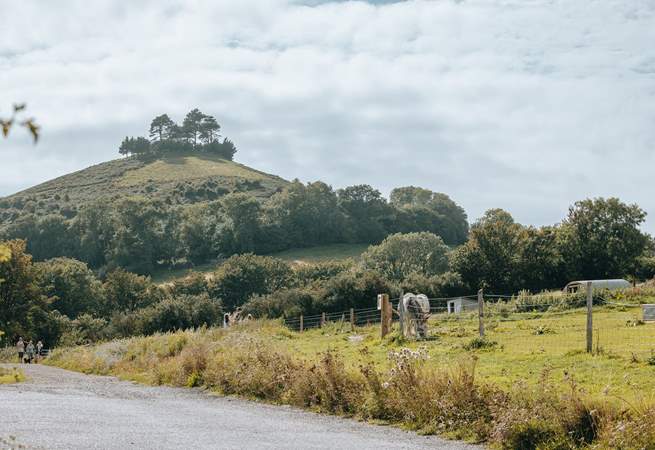 Nearby Symondsbury Estate makes a lovely day out - a cafe, farm animals and the chance to enjoy the views from the top of Colmer's Hill (if you fancy the climb!).