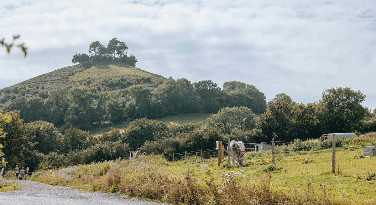 Nearby Symondsbury Estate makes a lovely day out - a cafe, farm animals and the chance to enjoy the views from the top of Colmer's Hill (if you fancy the climb!).