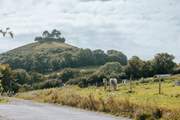 Nearby Symondsbury Estate makes a lovely day out - a cafe, farm animals and the chance to enjoy the views from the top of Colmer's Hill (if you fancy the climb!).