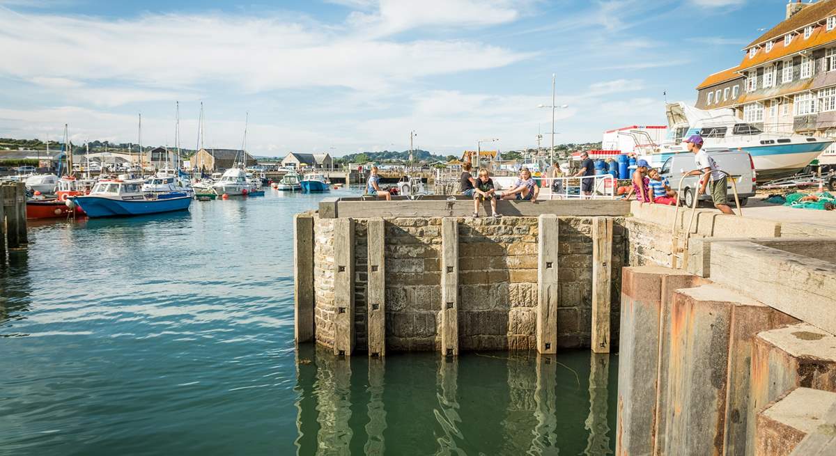 Enjoy fish and chips harbourside.