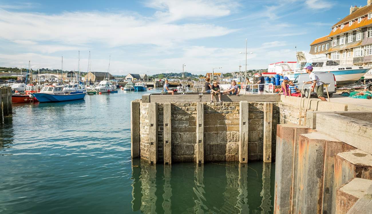 Enjoy fish and chips harbourside.