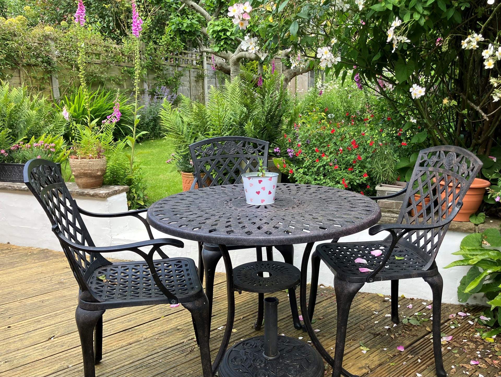 The garden is full of colour.