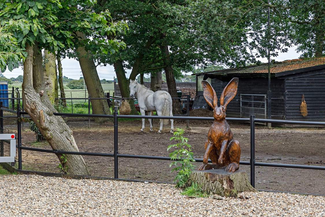 Your friendly neighbours.