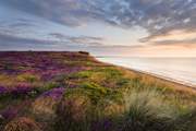 Dunwich Heath and beach for spectacular bird watching.