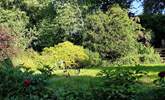 The garden has lots of lovely mature shrubs and trees. - Thumbnail Image