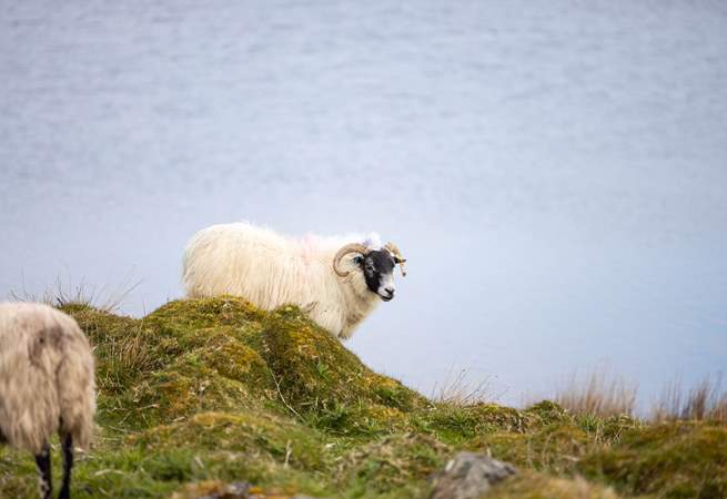 You are being watched!