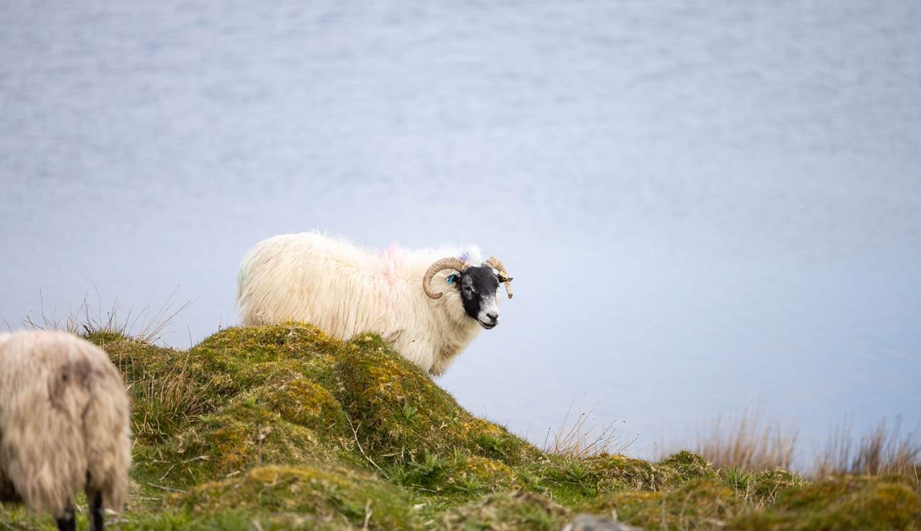 You are being watched!