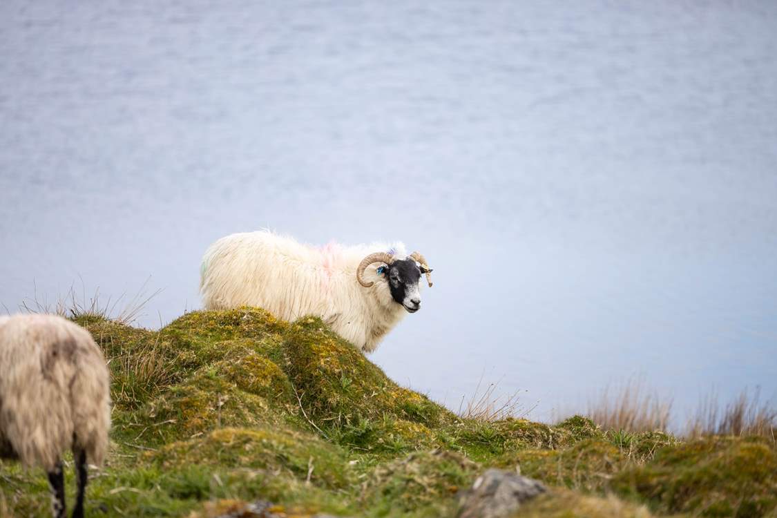 You are being watched!