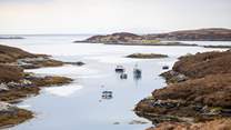 Take a cruise around the islands and maybe spot a sea eagle. 